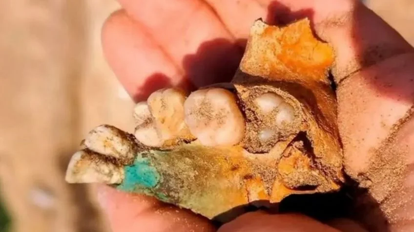 f848x477-1464598_1522401_4141