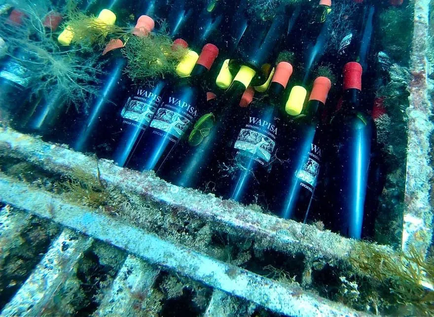 WhatsApp Image 2023-06-13 at 22.24.41