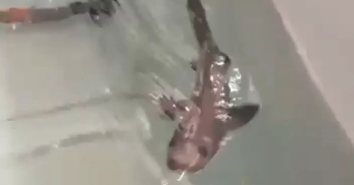 X4HBFRPPSVGPRNG4H4XTTCJR2I