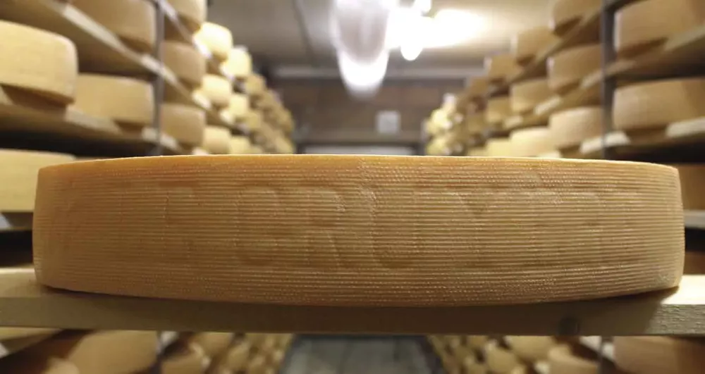 gruyere