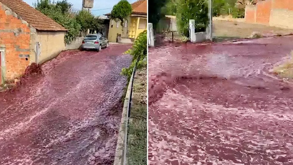 vino