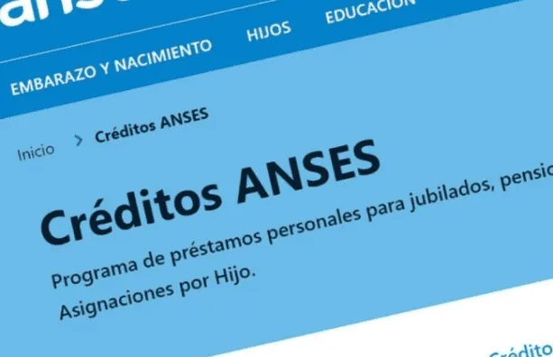 anses.png_1822438427