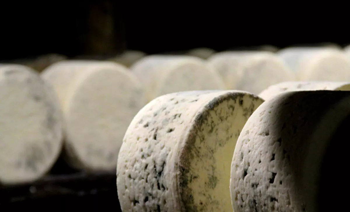 queso roquefort
