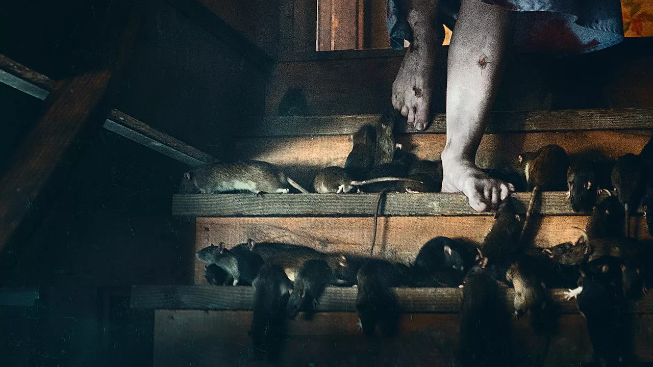 AAAABdmLKf8eCZzFtnTqybBWbFuVkldtU_MApreoQ1Y3J5ACVsCDKuHHC3fA-9DWrvSByXmjM5Liq301T7MvuJXbu1FvEEOn