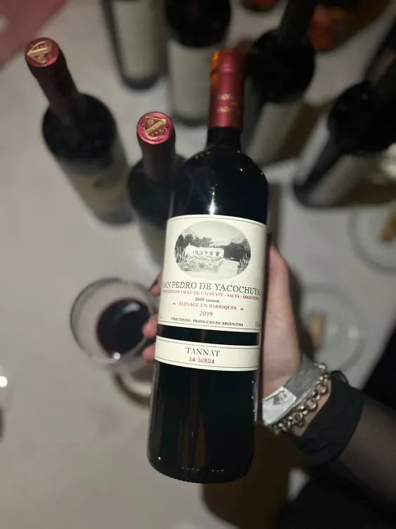 WhatsApp Image 2023-06-27 at 22.20.11