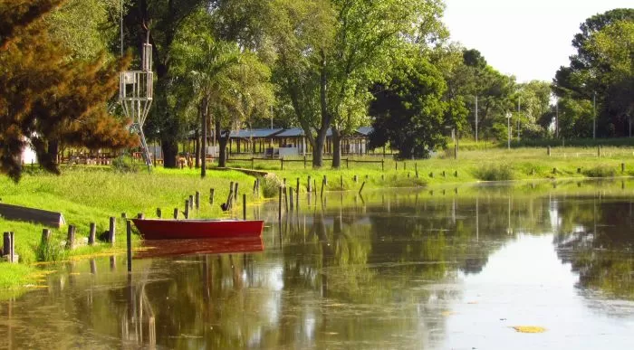 62e7fff18b781_700_387!