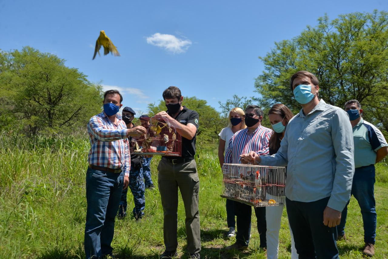 Liberación-de-aves-3