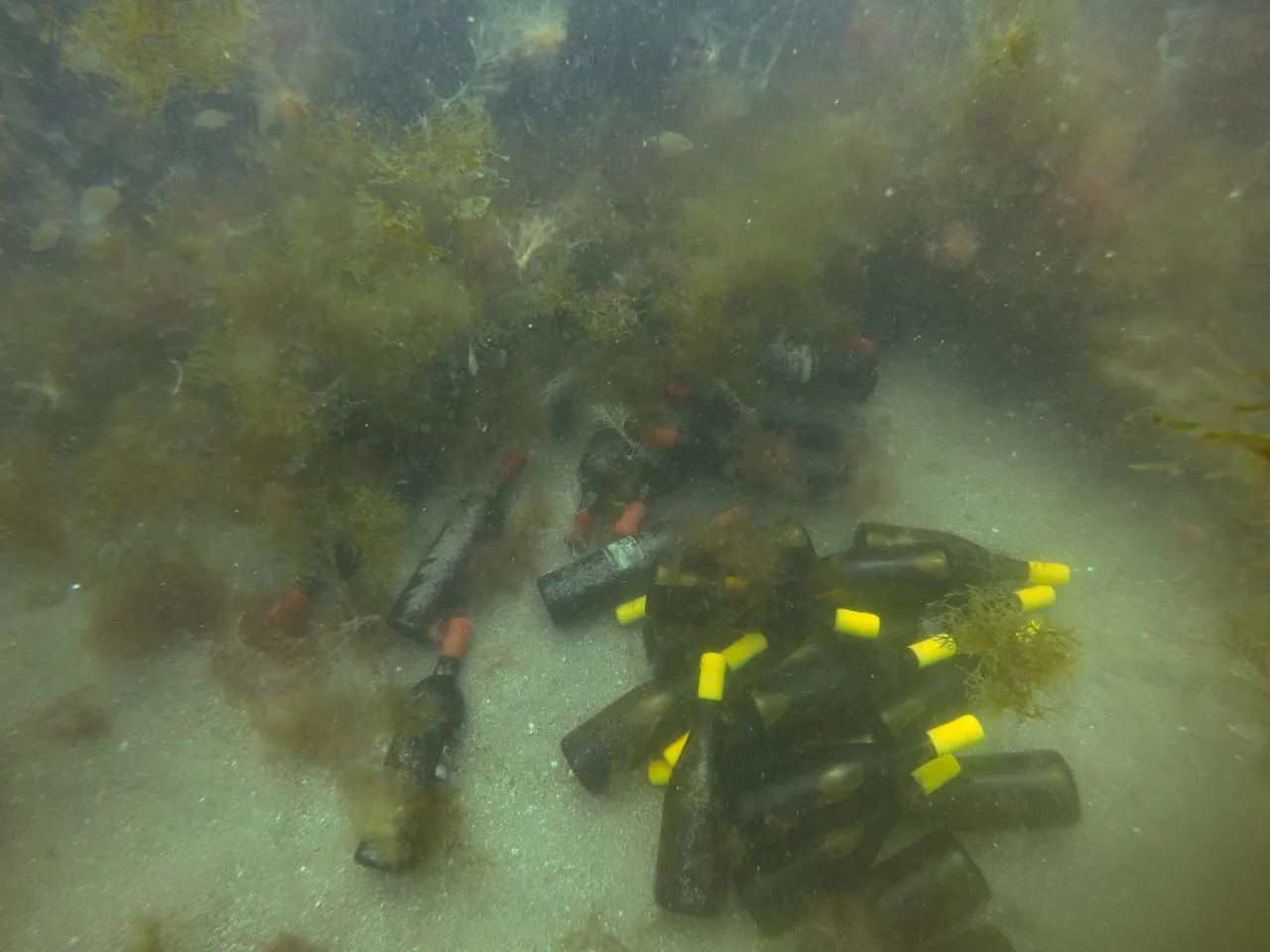 WhatsApp Image 2023-06-13 at 22.24.42 (1)