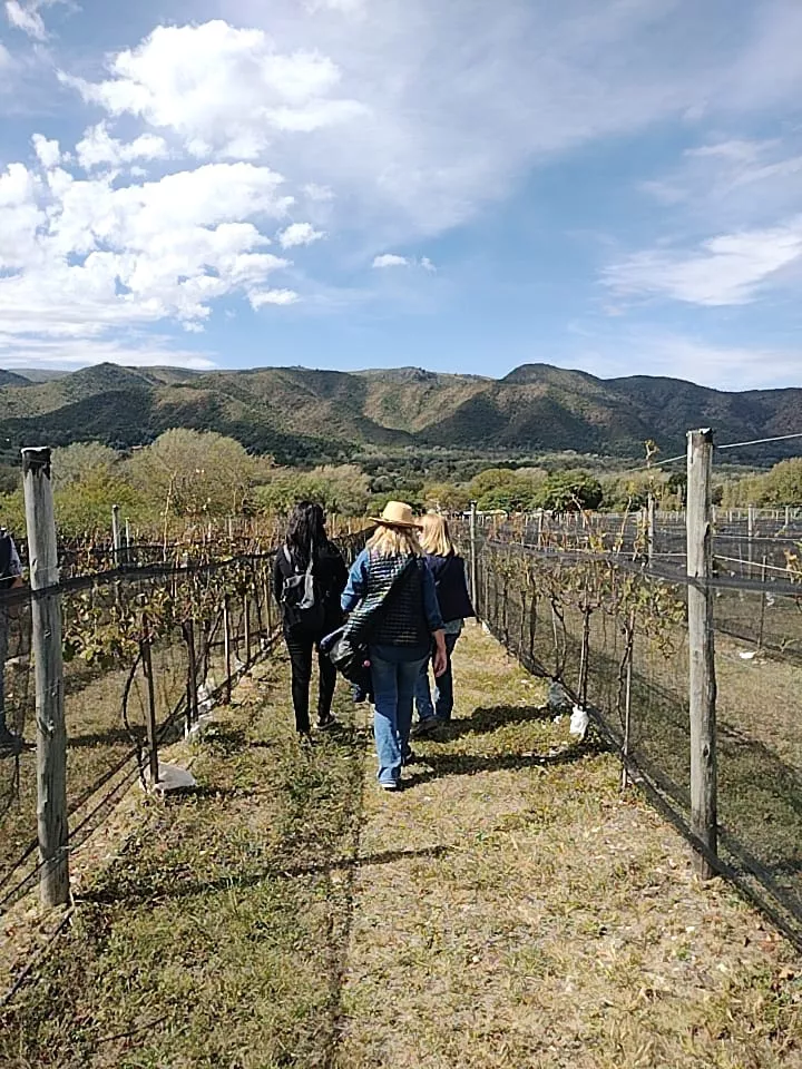 WhatsApp Image 2022-07-12 at 6.15.53 PM