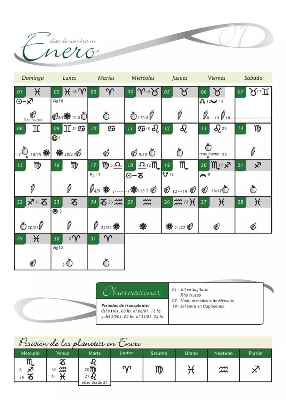 photo_5116135807609055868_y