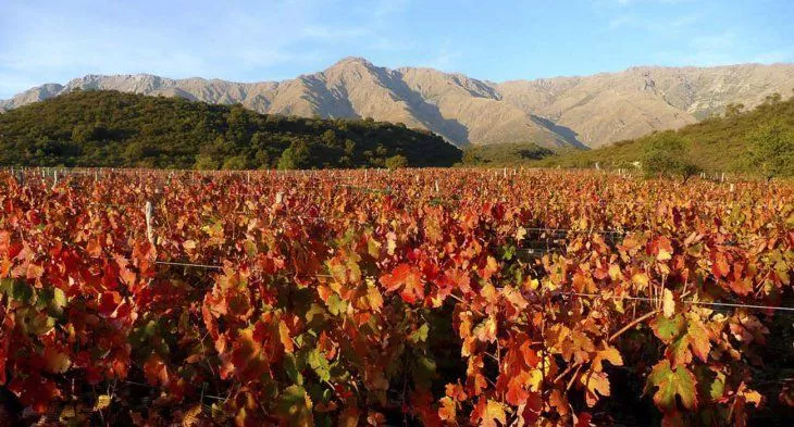 caminos-vino-cordobajpg