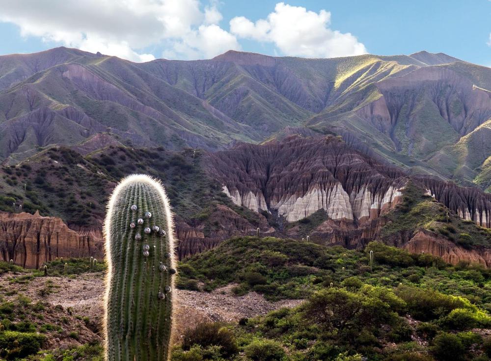Villa Vil 6 (Catamarca)
