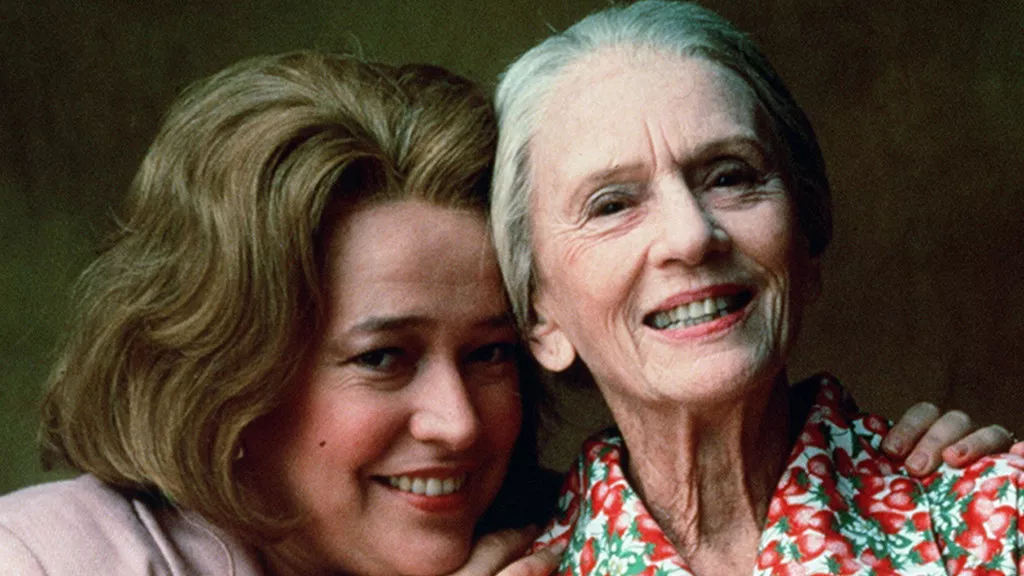 tomates-verdes-fritos-2