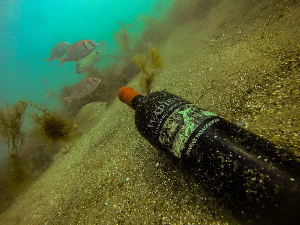 WhatsApp Image 2023-06-13 at 22.24.41 (1)