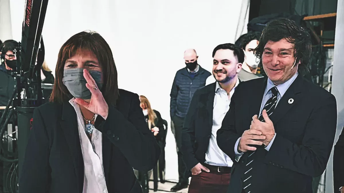 bullrich-y-mileijpg1