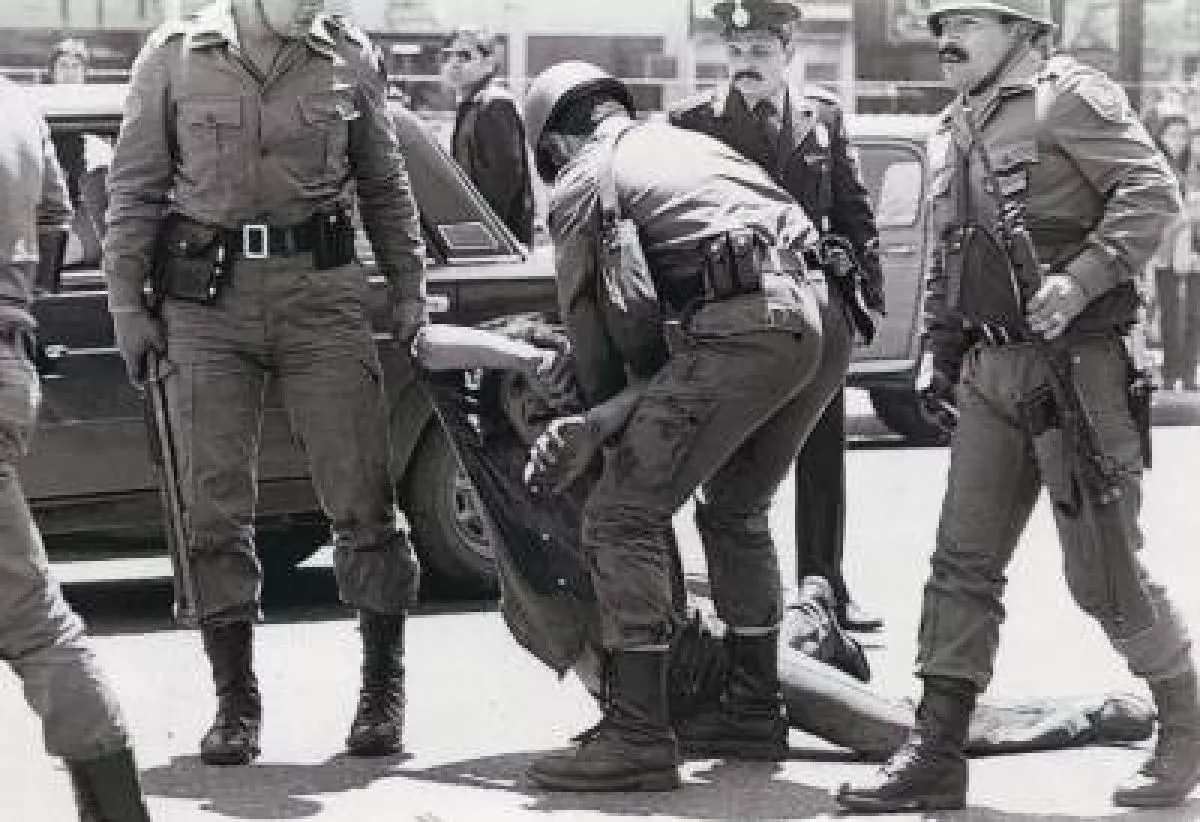 articulos_1308_1_160916_016178