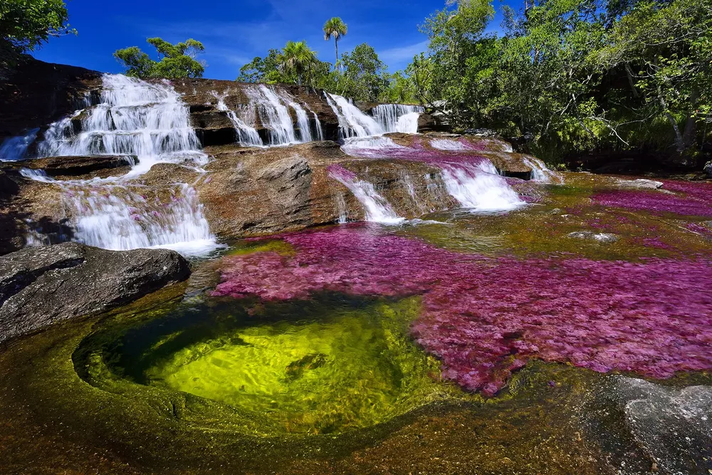 Caño Cristales (Colombia)
