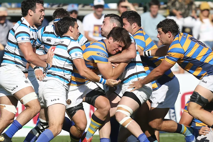 ZYJYZCWRD5GUXP4HOQMB6WP6VQ