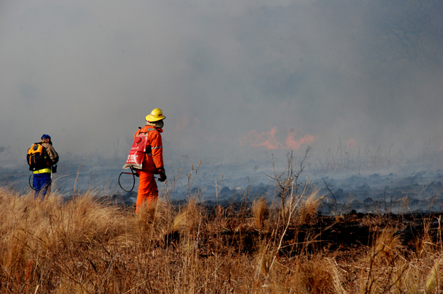 iNCENDIOS8
