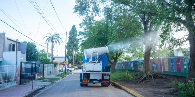 dengue fumigacion
