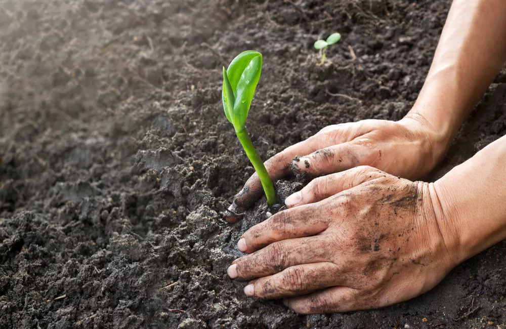 medio-ambiente-Peru-agriculturers