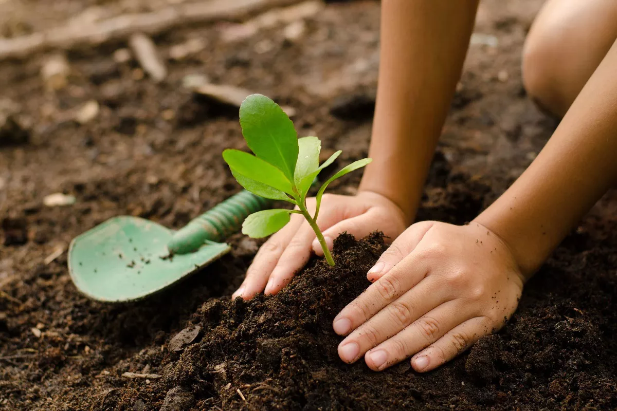 educacion-ambiental