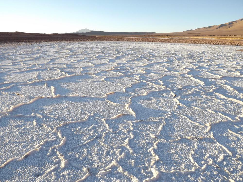 Salar de Antofalla 3 (Catamarca)