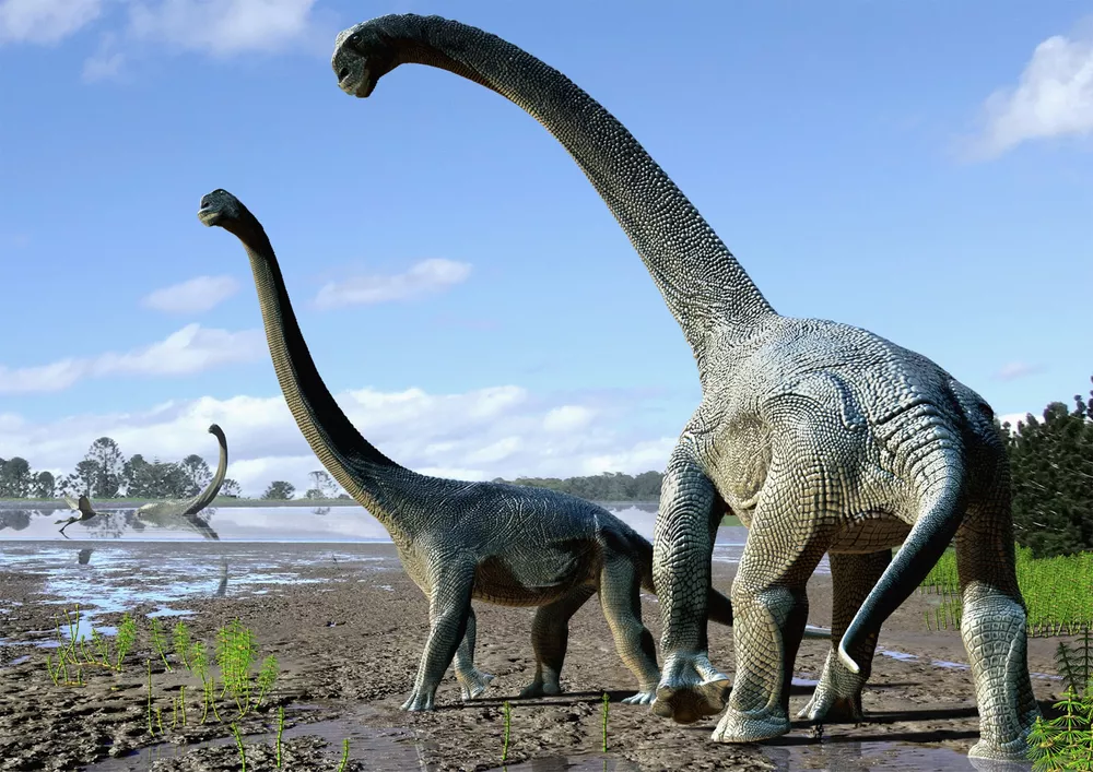 01-Savannasaurus-elliottorum-australia