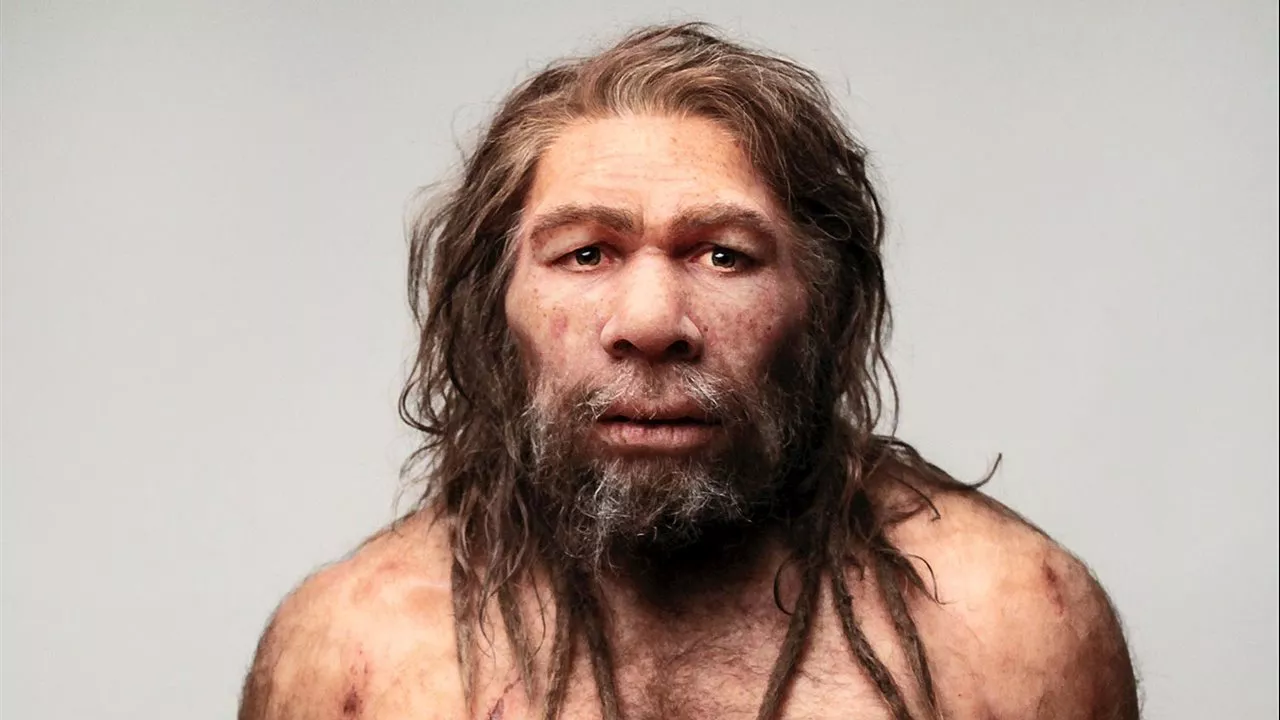 neanderrtal