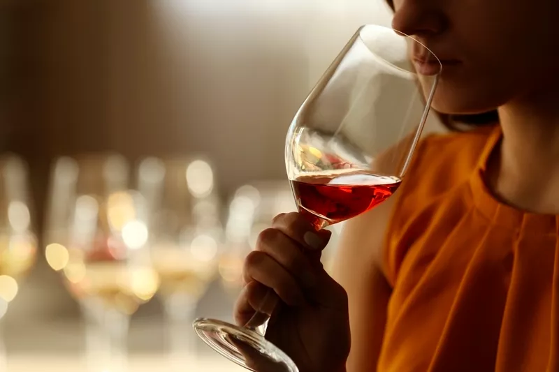 CATA-VINO