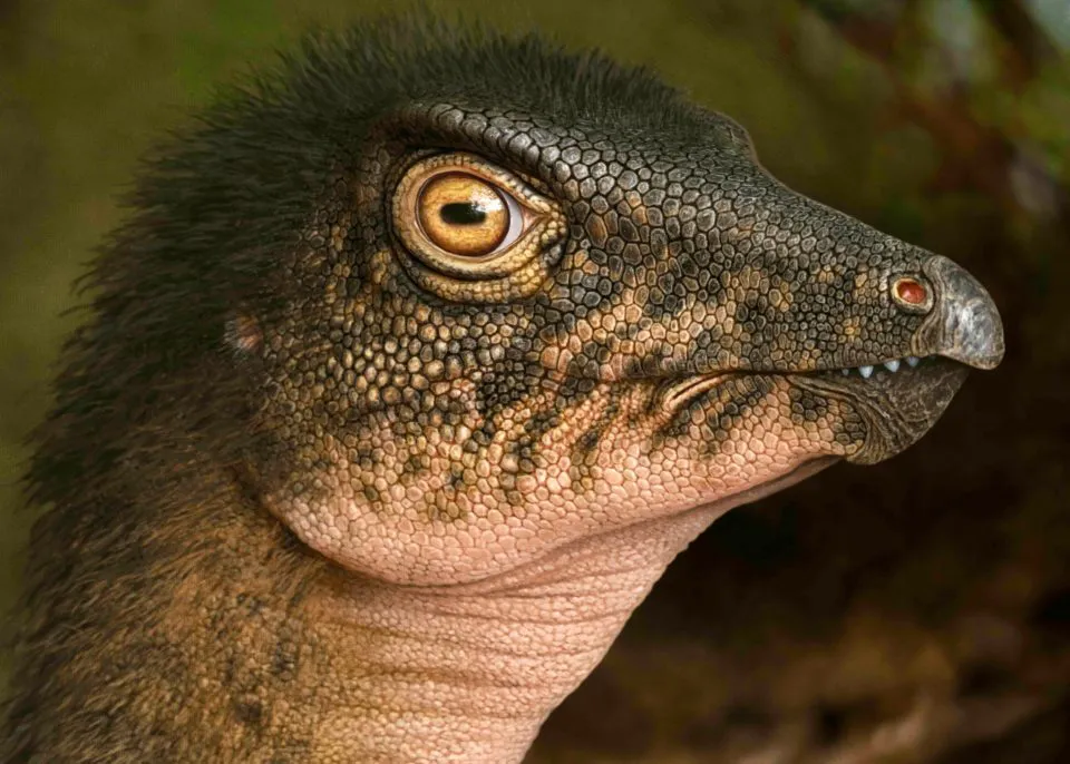Thescelosaurus_small-1-1-960x686