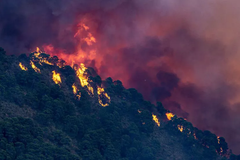 incendios españa 1