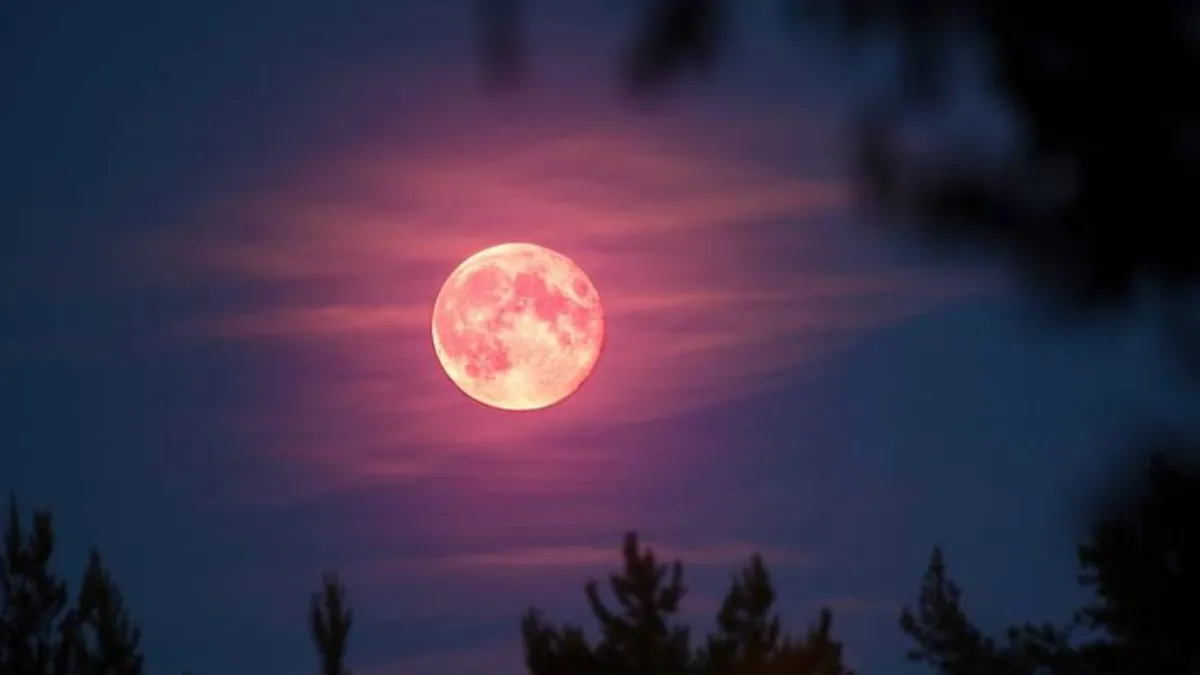 luna rosa