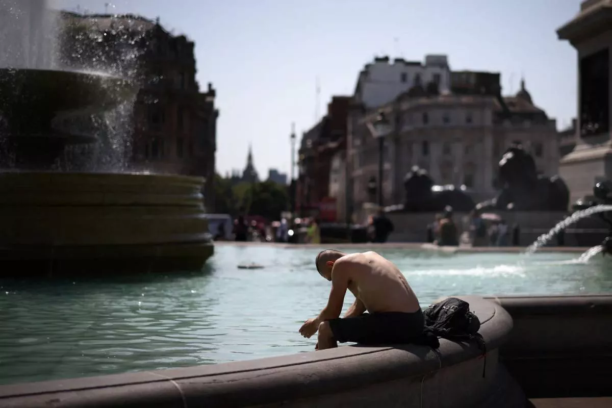 ola de calor 8