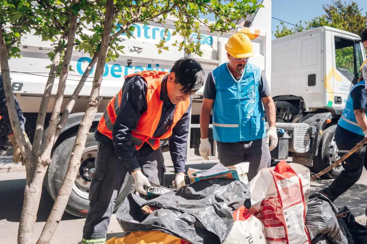 dengue prevencion
