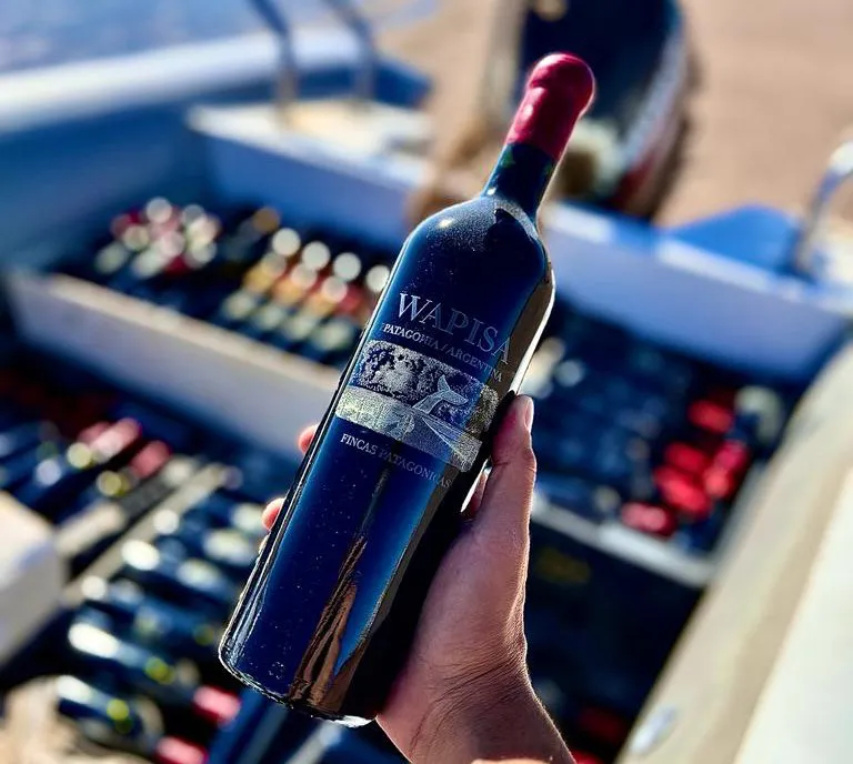 WhatsApp Image 2023-06-13 at 22.24.43 (1)