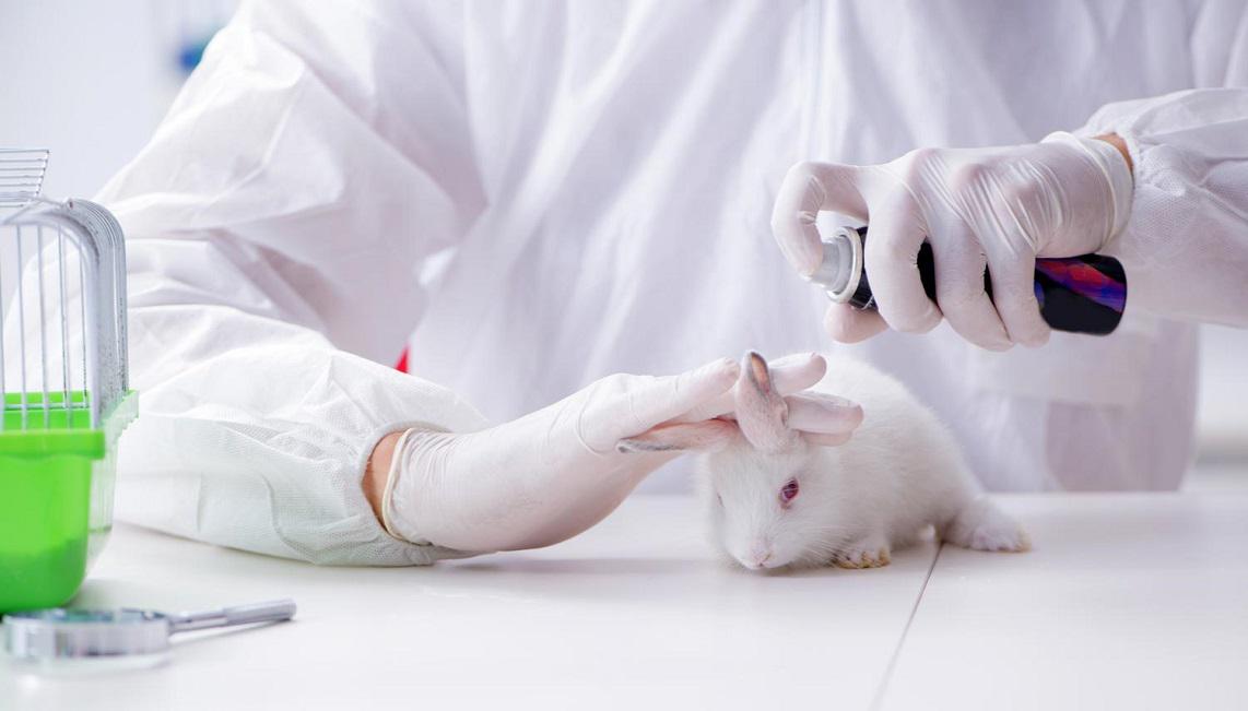 did-china-really-end-animal-testing-2019