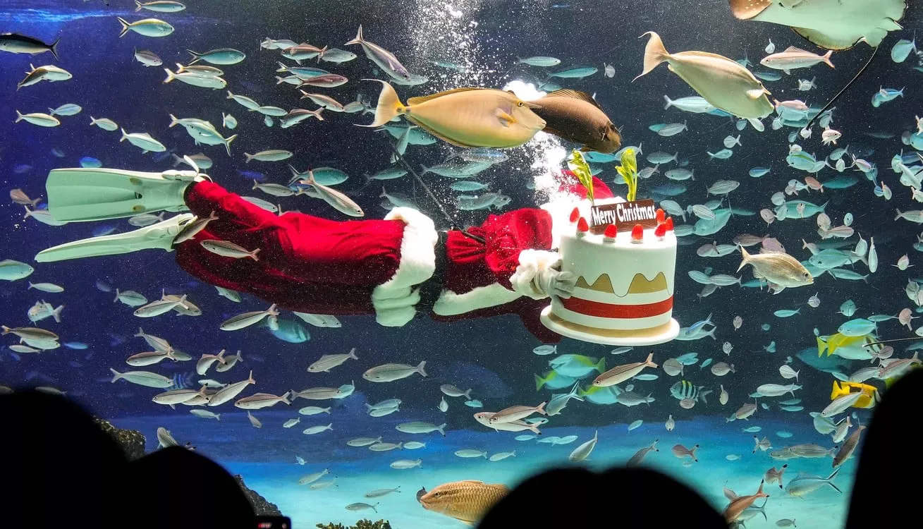 navidad 1