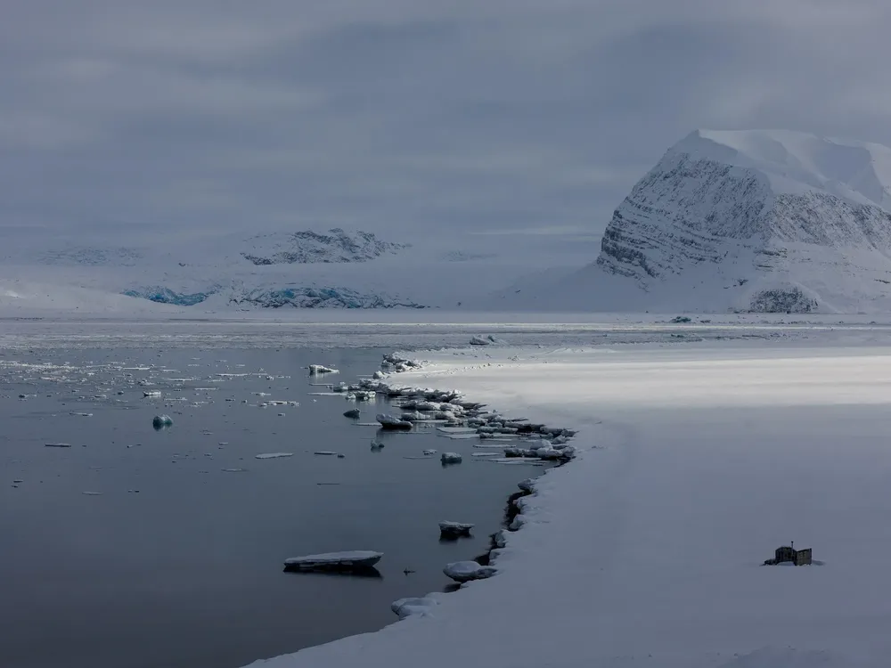 wy0SQX3JZ_2000x1500__1