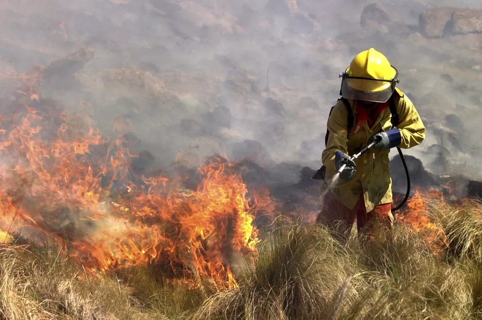 Incendios25