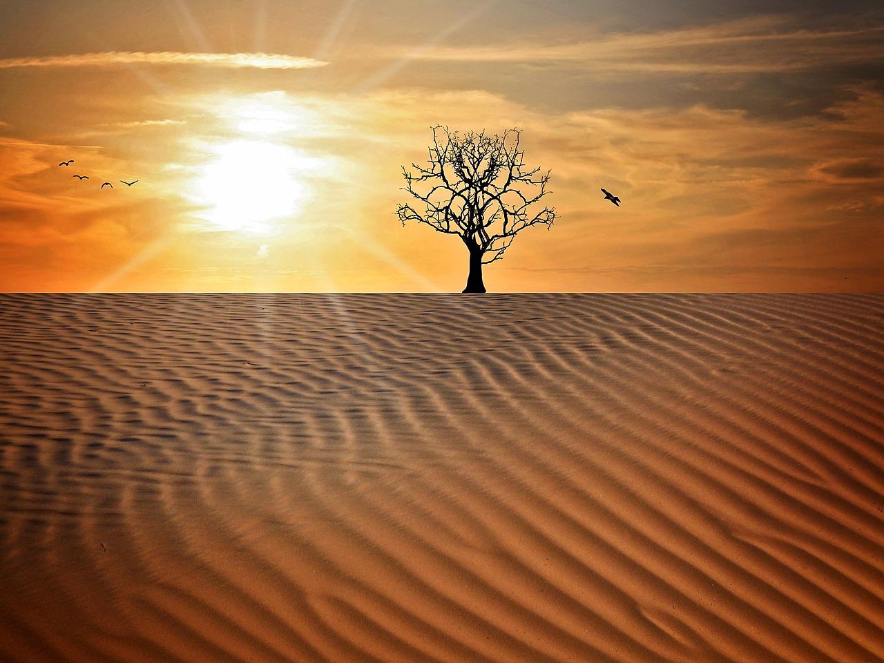 desierto