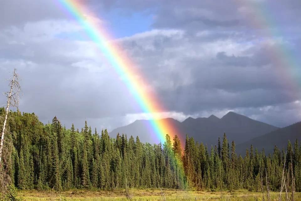 arco iris