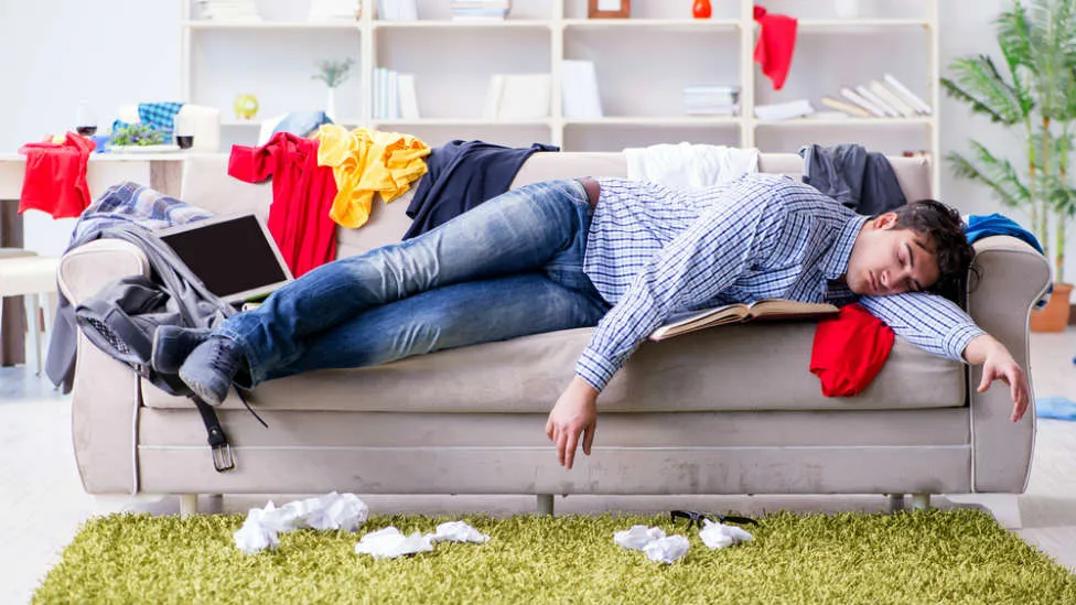 vago vaga perezozo pereza