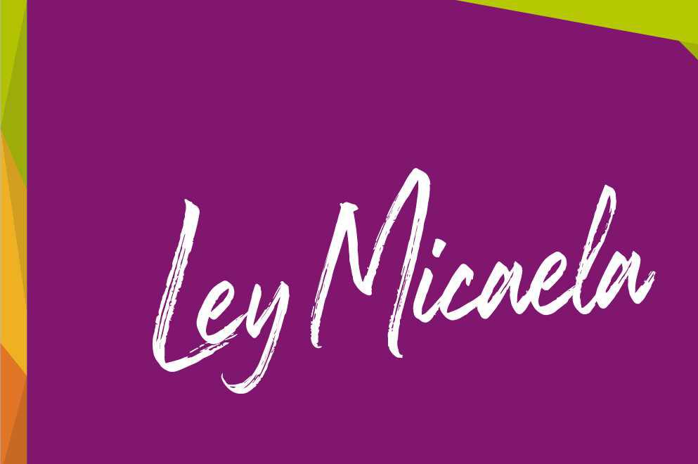 ley micaela