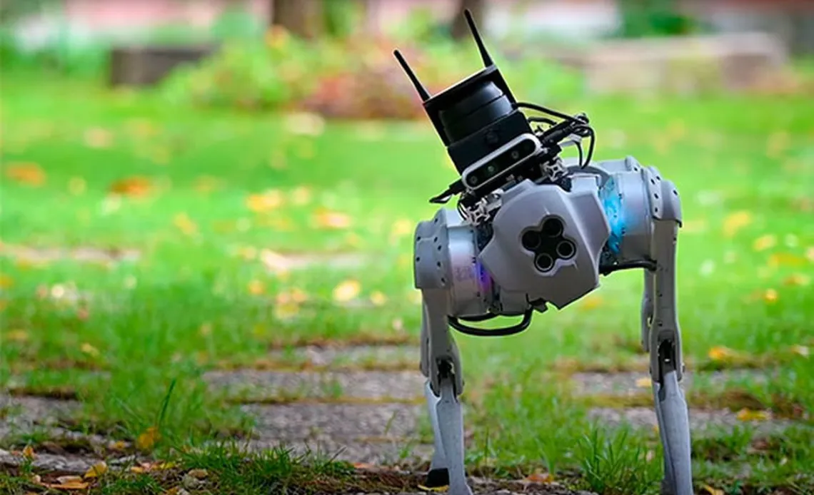 robot