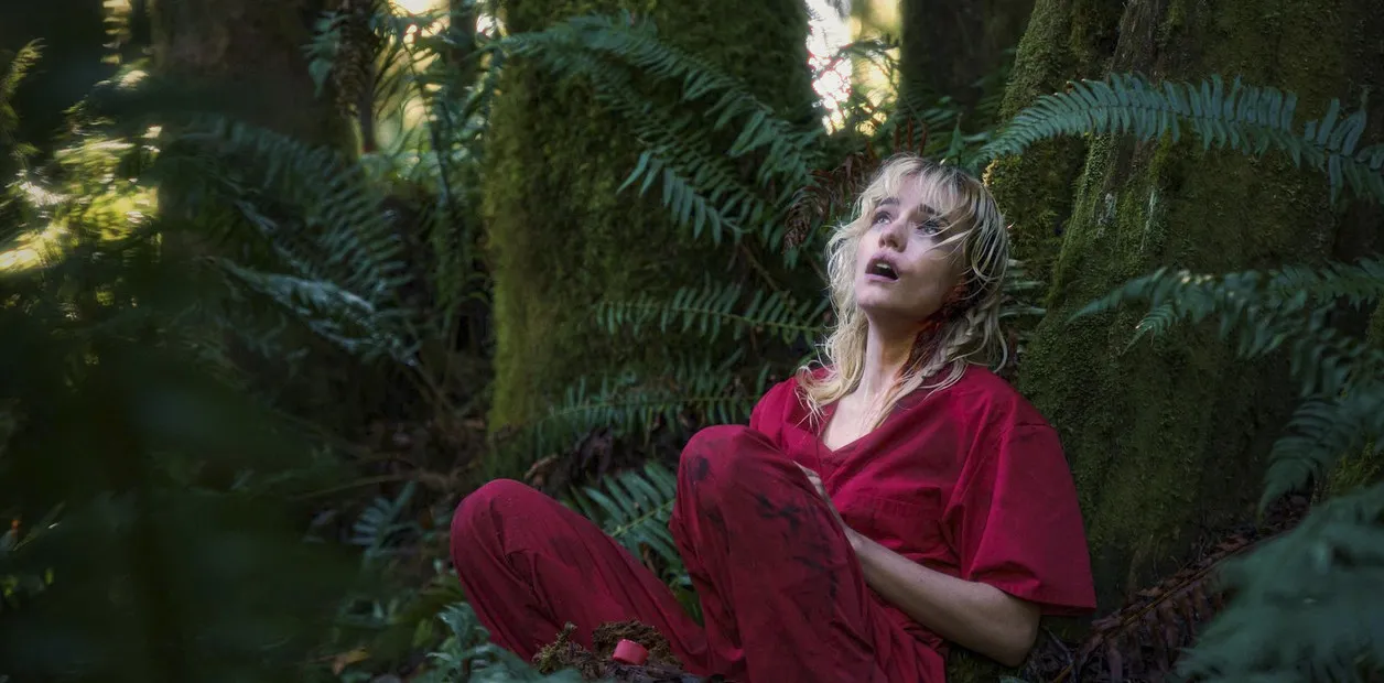 gs3XSy2nx_1256x620__1