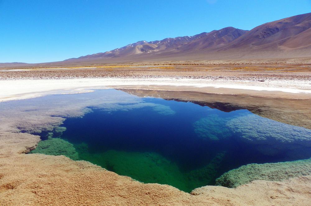 Ojos de mar (portada)