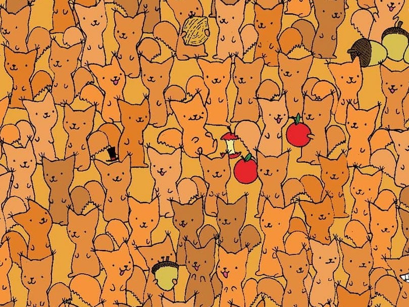 89370218_212863519830335_8962052856332943360_n