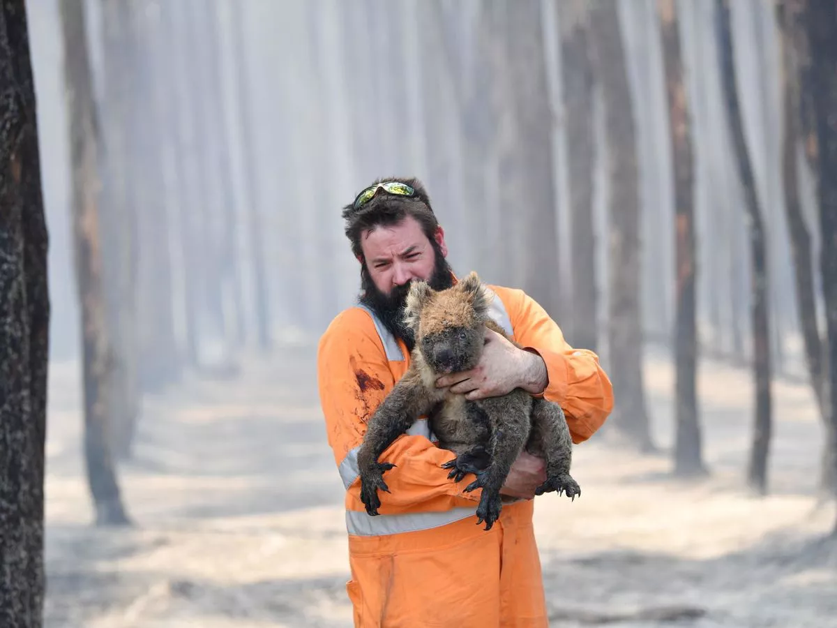 incendios forestales