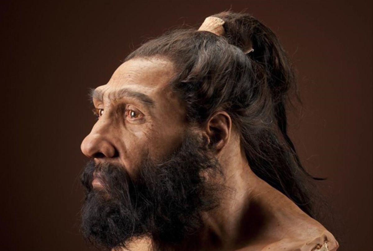 neandertal